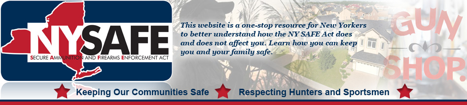 Click to visit NY's interactive website 